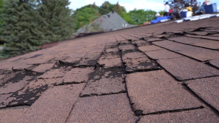 Roof Coating Services in Milford, NJ
